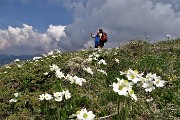 Da Ceresola di Valtorta salita ai Piani di Bobbio e allo ZUCCO BARBESINO (2152 m.) venerdì 2 giugno 2017 - FOTOGALLERY